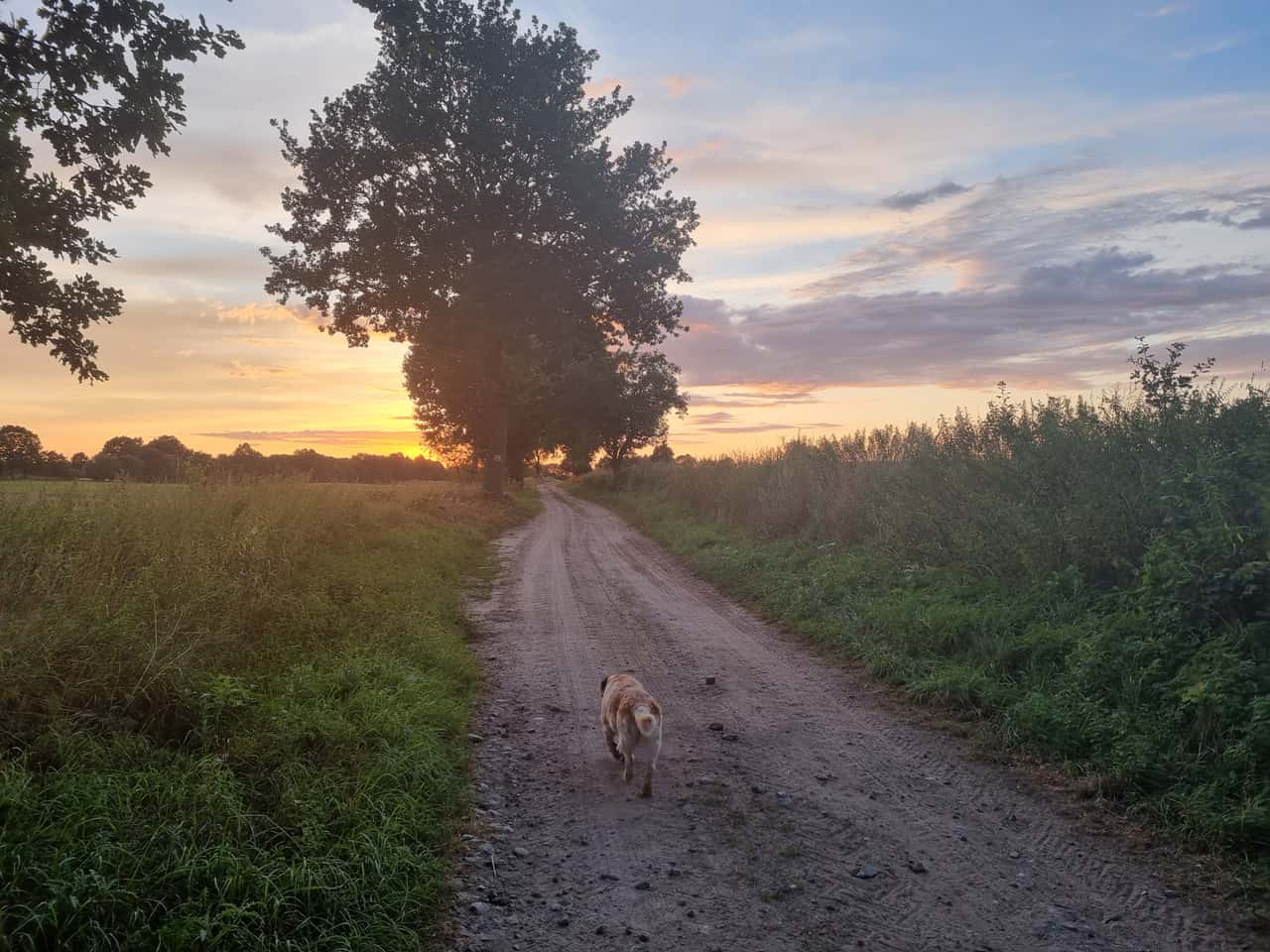 Nętno – Ort und Atmosphäre des Retreats, Impression 6