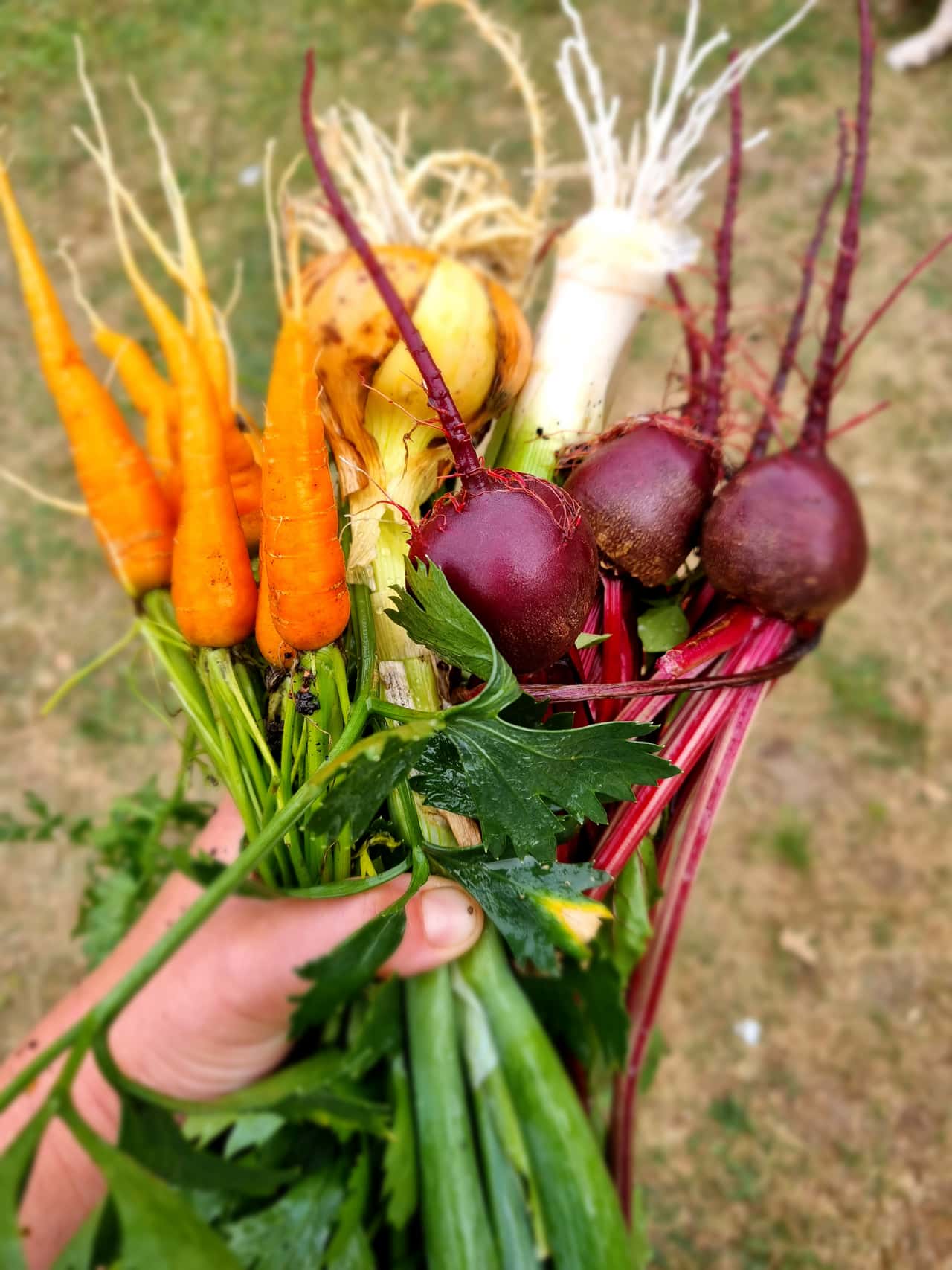 Nętno – Ort und Atmosphäre des Retreats, Impression 8