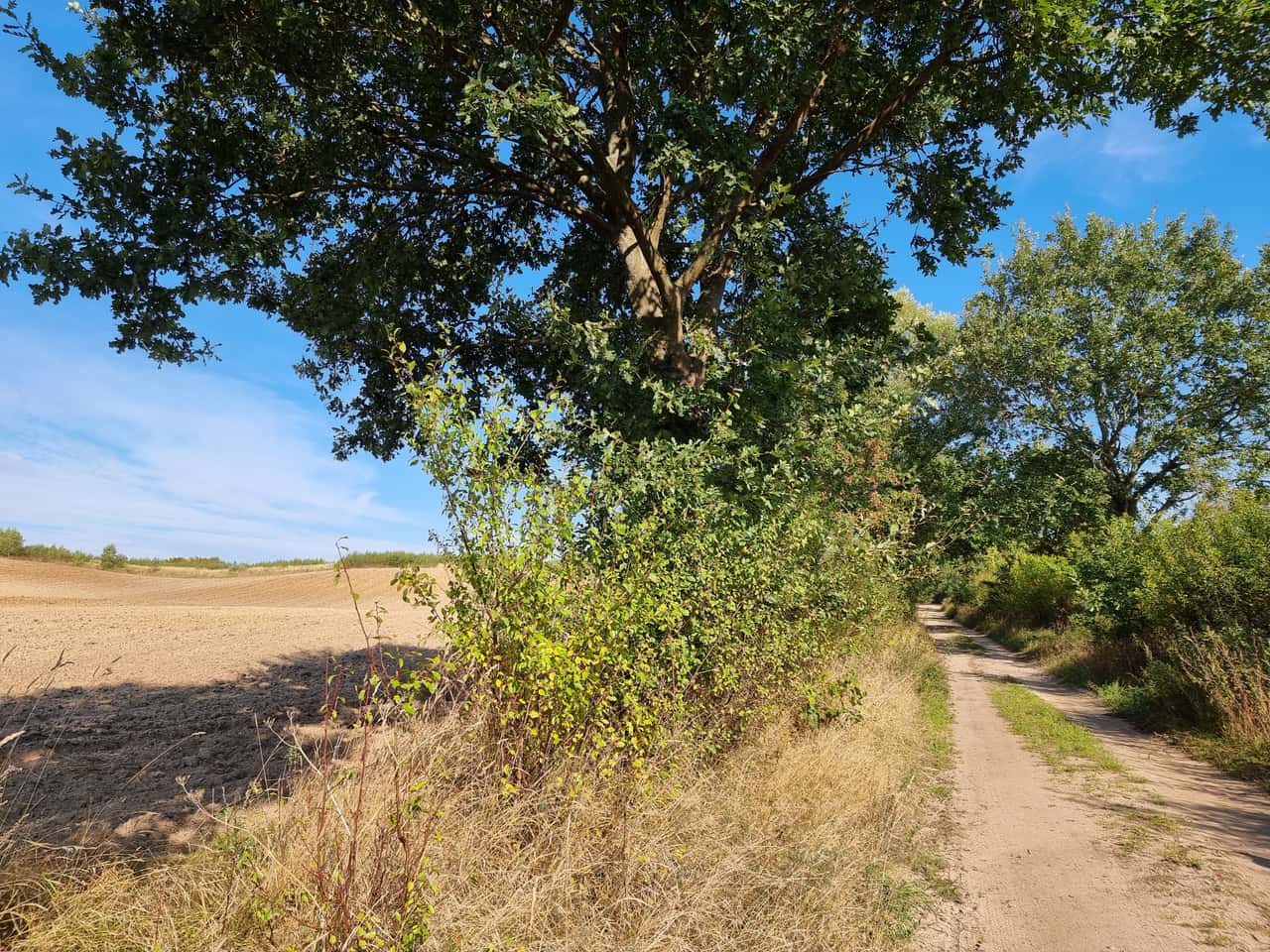 Nętno – Ort und Atmosphäre des Retreats, Impression 12